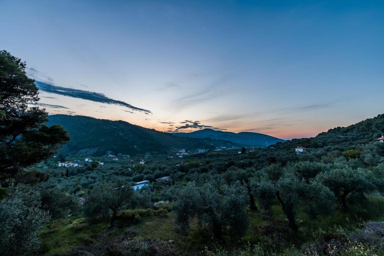 Villa Maja Skopelos Town Exterior photo